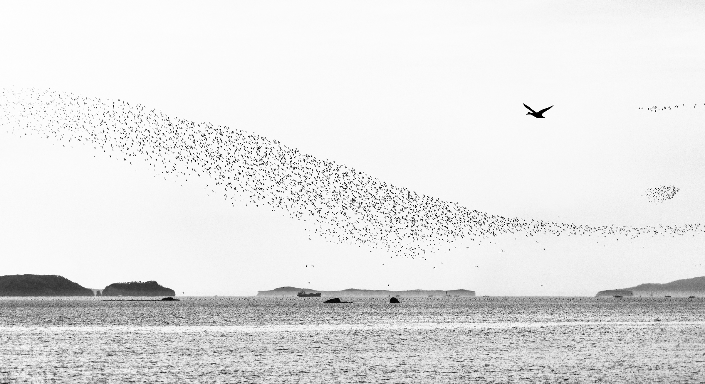 A Thousand Winds 1(천개의 바람1).jpg